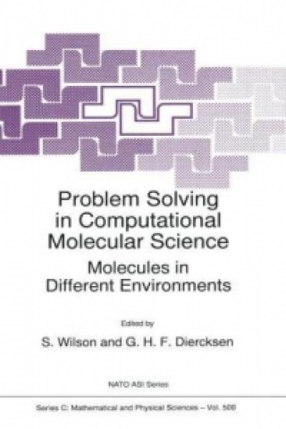 Buch Problem Solving in Computational Molecular Science Stephen Wilson