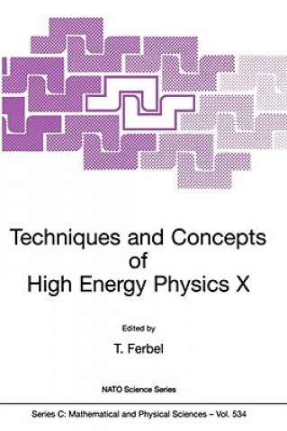 Könyv Techniques and Concepts of High Energy Physics X Thomas Ferbel