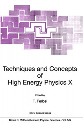 Livre Techniques and Concepts of High Energy Physics X Thomas Ferbel