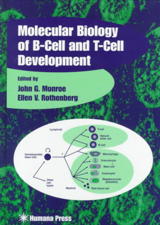 Kniha Molecular Biology of B-Cell and T-Cell Development John G. Monroe