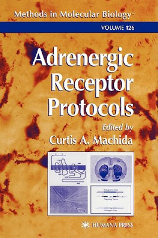 Książka Adrenergic Receptor Protocols Curtis A. Machida