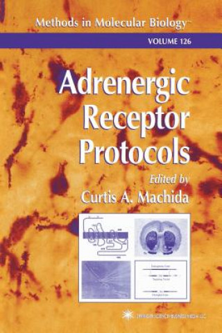 Könyv Adrenergic Receptor Protocols Curtis A. Machida