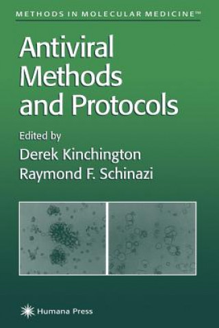 Könyv Antiviral Methods and Protocols Derek Kinchington