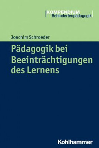 Kniha Pädagogik bei Beeinträchtigungen des Lernens Joachim Schroeder