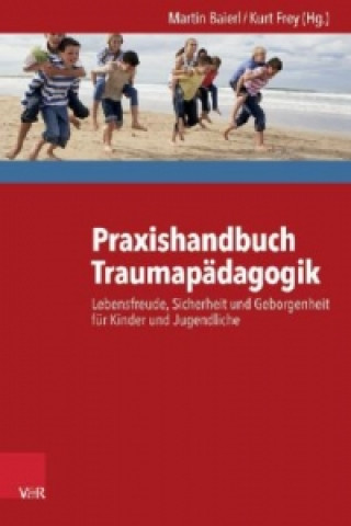 Kniha Praxishandbuch Traumapädagogik Martin Baierl