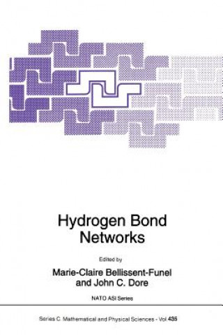 Kniha Hydrogen Bond Networks Marie-Claire Bellissent-Funel