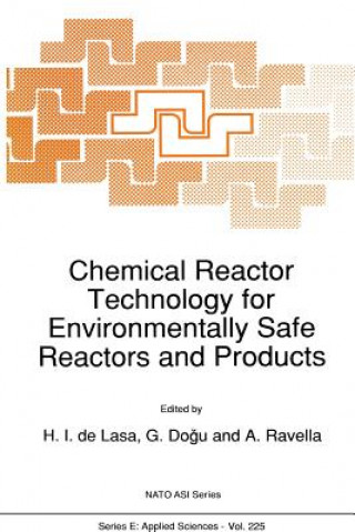 Könyv Chemical Reactor Technology for Environmentally Safe Reactors and Products Hugo de Lasa