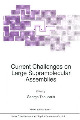 Könyv Current Challenges on Large Supramolecular Assemblies Georges Tsoucaris