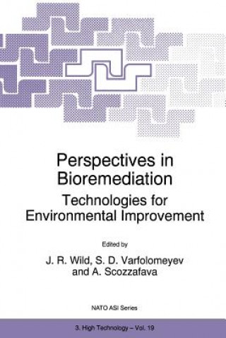 Kniha Perspectives in Bioremediation J. R. Wild