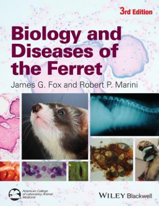 Kniha Biology and Diseases of the Ferret James G. Fox