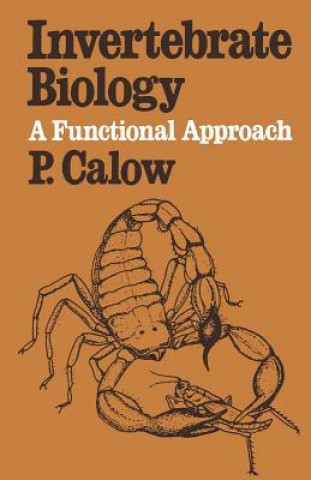 Książka Invertebrate Biology P. Calow