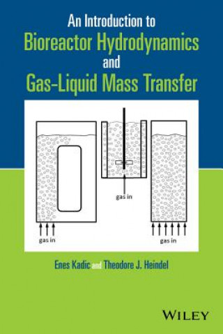 Buch Introduction to Bioreactor Hydrodynamics and Gas-Liquid Mass Transfer Enes Kadic