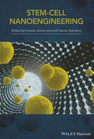 Livro Stem-Cell Nanoengineering H. Baharvand