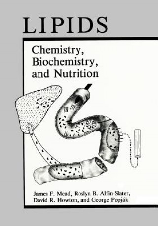 Książka Lipids James F. Mead