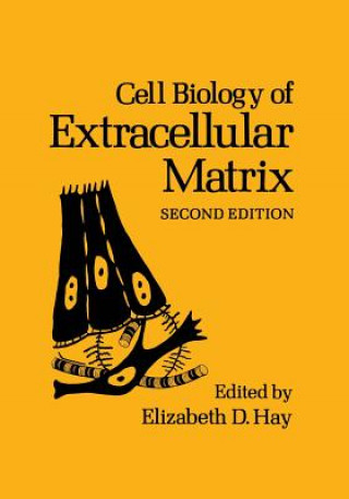 Книга Cell Biology of Extracellular Matrix E.D. Hay