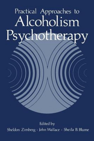 Kniha Practical Approaches to Alcoholism Psychotherapy Sheldon Zimberg