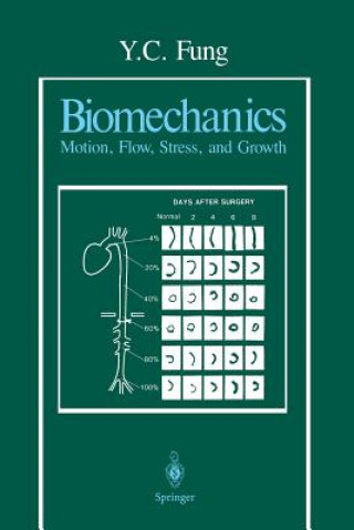 Könyv Biomechanics Y.C. Fung