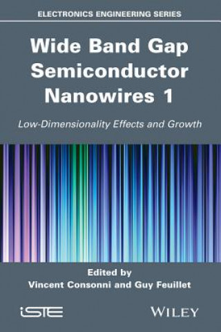 Carte Wide Band Gap Semiconductor Nanowires for Optical Devices - Low-Dimensionality Related Effects and Growth Guy Feuillet