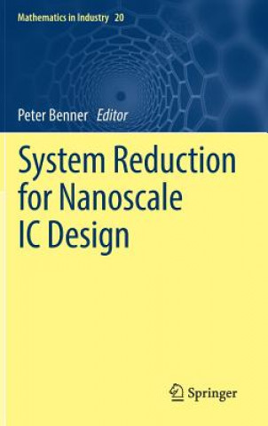 Carte System Reduction for Nanoscale IC Design Peter Benner