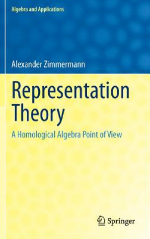Kniha Representation Theory Alexander Zimmermann