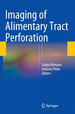 Könyv Imaging of Alimentary Tract Perforation Luigia Romano