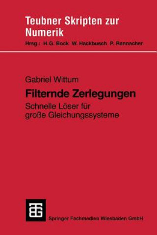 Книга Filternde Zerlegungen Gabriel Wittum