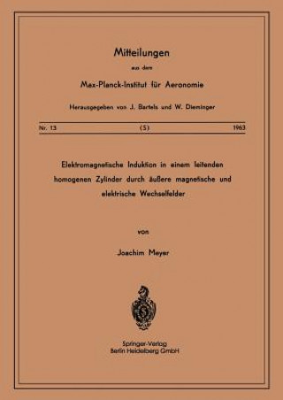 Книга Elektromagnetische Induktion in Einem Leitenden Homogenen Zylinder Durch AEussere Magnetische Und Elektrische Wechselfelder J. Meyer