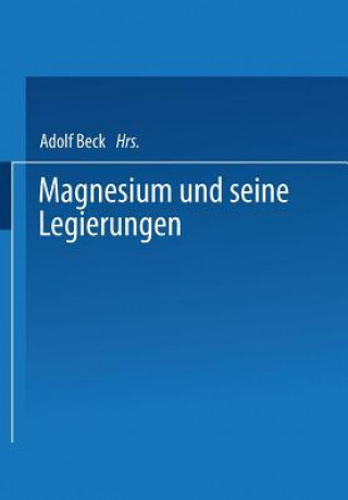 Kniha Magnesium Und Seine Legierungen H. Altwicker