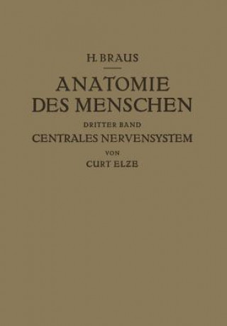 Kniha Anatomie Des Menschen Ein Lehrbuch Fur Studierende Und AEr&#438;te Hermann Braus