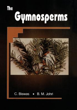 Könyv Gymnosperms Chhaya Biswas