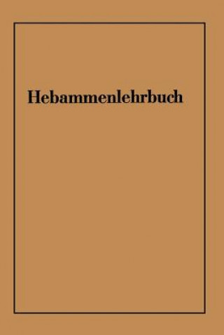 Kniha Hebammenlehrbuch Wichard von Massenbach