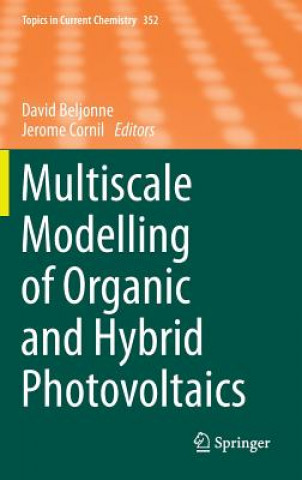 Kniha Multiscale Modelling of Organic and Hybrid Photovoltaics David Beljonne