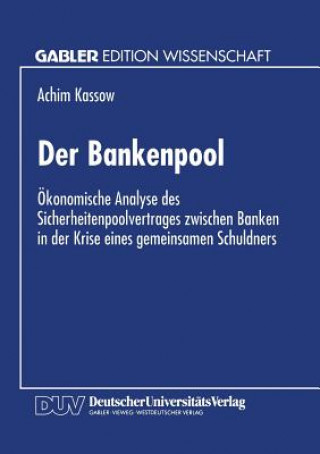 Buch Der Bankenpool Achim Kassow