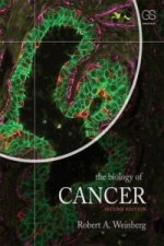 Kniha Biology of Cancer Robert A. Weinberg