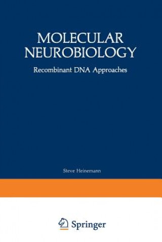 Kniha Molecular Neurobiology Steve Heinemann