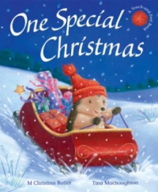 Buch One Special Christmas M Christina Butler