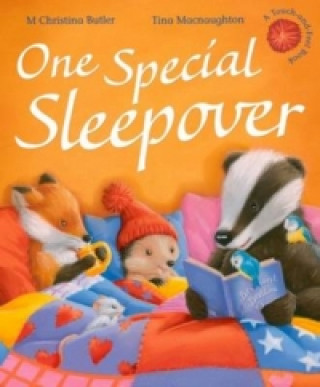 Kniha One Special Sleepover M Christina Butler