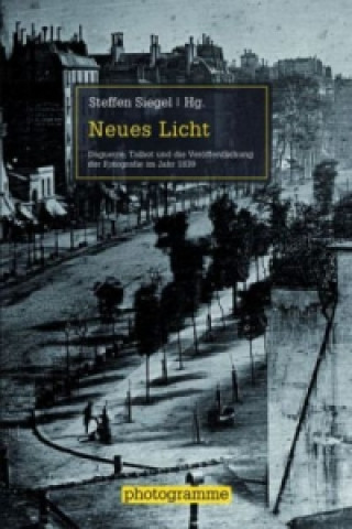 Kniha Neues Licht Steffen Siegel
