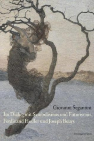 Kniha Giovanni Segantini Beat Stutzer