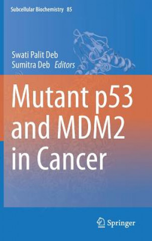 Carte Mutant p53 and MDM2 in Cancer Swati Palit Deb