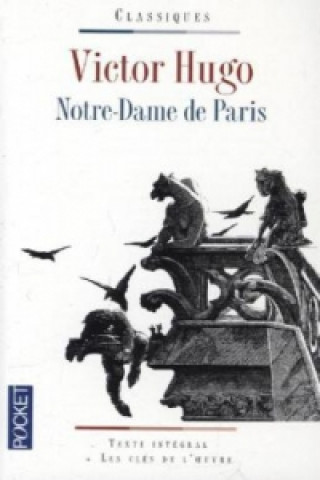 Libro Notre-Dame de Paris Victor Hugo