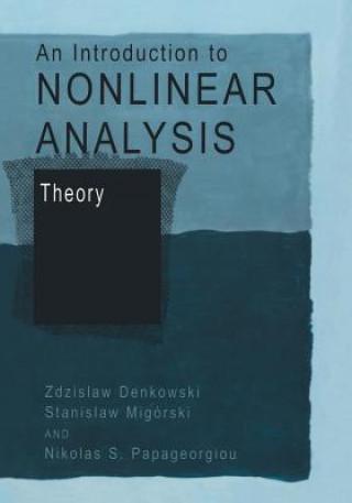 Kniha Introduction to Nonlinear Analysis: Theory Zdzislaw Denkowski
