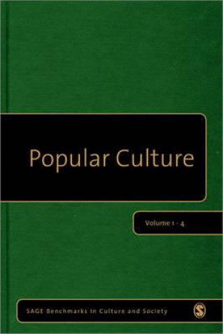 Kniha Popular Culture Michael J. Pickering