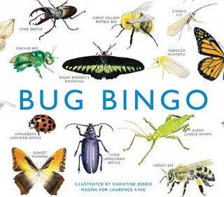 Tiskovina Bug Bingo Christine Berrie