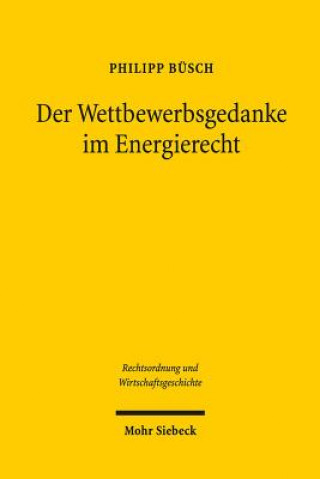Kniha Der Wettbewerbsgedanke im Energierecht Philipp Büsch