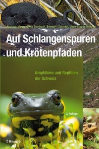 Kniha Auf Schlangenspuren und Krötenpfaden Andreas Meyer