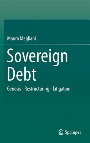 Carte Sovereign Debt Mauro Megliani