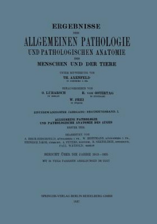 Kniha Ergebnisse Der Allgemeinen Pathologie Und Pathologischen Anatomie Des Menschen Und Der Tiere Th. Axenfeld