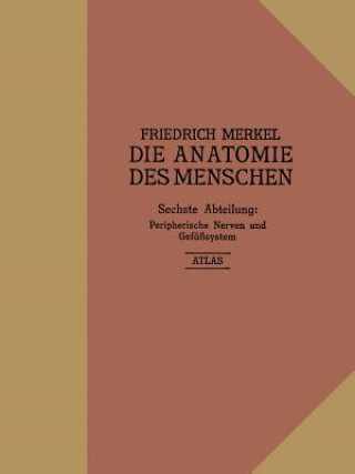 Carte Atlas Zu Peripherische Nerven Und Gefasssystem Friedrich Merkel