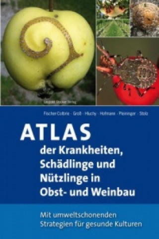 Könyv Atlas der Krankheiten, Schädlinge und Nützlinge im Obst- und Weinbau Peter Fischer-Colbrie